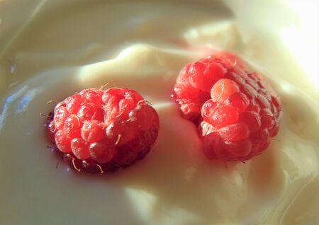 Raspberries and yogurt, close up. Sour cream, yogurt with fresh raspberries.の写真素材