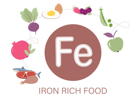 Iron rich foods. Products containing fe. Topic of health and the prevention of anemia. Diet for people with low hemoglobin. Efficient nutrition concept.のイラスト素材
