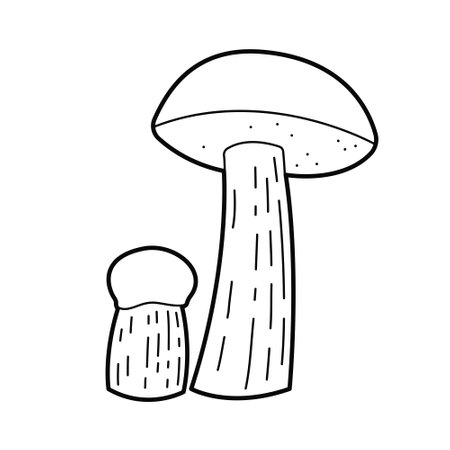 Mushroom - orange cap boletus, spongy mushroom. Vector black white outline illustration. Design elements or page of childrens coloring book.のイラスト素材