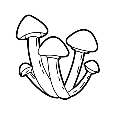 Mushrooms - honey fungus. Vector black white outline illustration. Design elements or page of childrens coloring book.のイラスト素材
