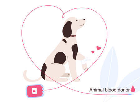 Animal blood donor. Dog donor and blood container.のイラスト素材
