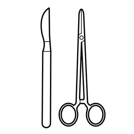 Surgical instrument: medical scissors and scalpel. Outline illustration on white background, design elementのイラスト素材