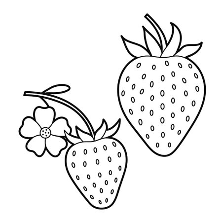 Strawberry. Contour drawing. Black white outline illustration, isolated on white background. Design elements or page of children's coloring bookのイラスト素材