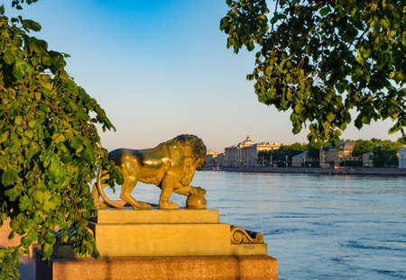 St. Petersburg, Russia. - July 13, 2020. A sculpture depicting a lion. Installed on the Admiralty embankment of the Neva River. Horizontal orientation, selective focus.のeditorial素材