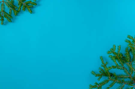 Christmas New Year fir branches and copy space for placing text on a blue background. Horizontal orientation, top view.の写真素材