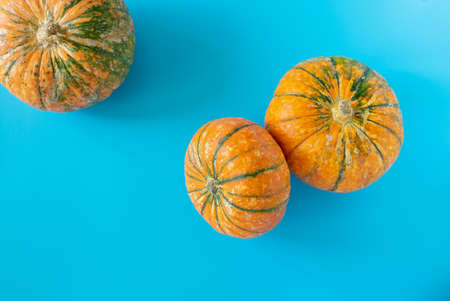 Three ripe beautiful pumpkins on a blue background. Horizontal orientation, top view.