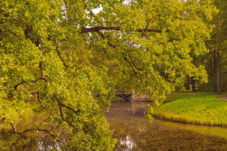 Part of an autumn park with a pond and trees on a sunny day. Indian summer, early autumn. Horizontal...