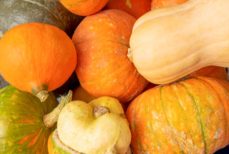 A close-up of several ripe beautiful pumpkins. Horizontal orientation, top view, selective focus.の写真素材