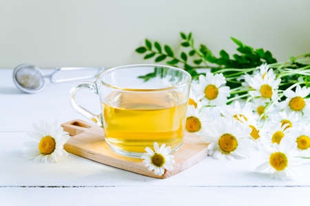 Close-up of chamomile tea. Alternative and traditional medicine. Herbal treatment. Selective focus.の写真素材