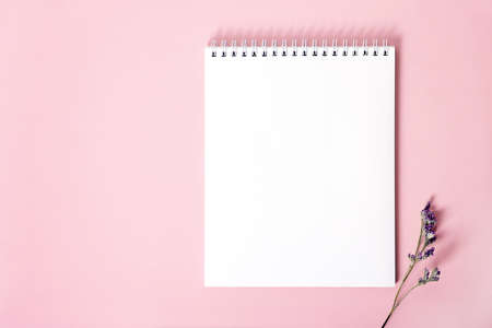 Top view mockup of spiral notepad with white blank sheets and dried flower sprig on pink background. Copy space.の写真素材