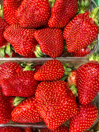 Fresh ripe strawberries fill plastic containers, showing their vibrant red color and texture. Ideal for promoting healthy eating. Made on smartphone.の写真素材
