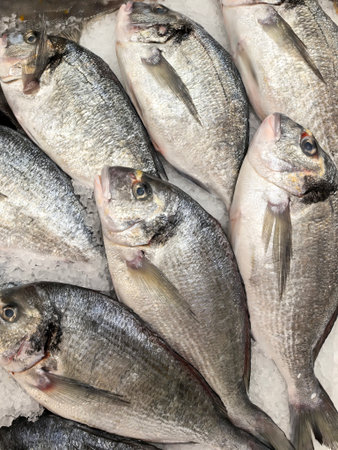 Freshly caught fish laid out on ice at a market, highlighting their shiny scales and freshness. For culinary, seafood, and fresh produce themes.の写真素材