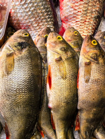 Fresh raw fish are arranged on ice at the market, highlighting their silver scales and textures.
