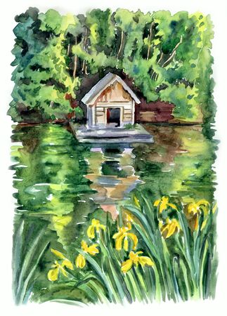 House for ducks on the pond and flowering irises on the shore, summer landscape, watercolor drawing.の写真素材