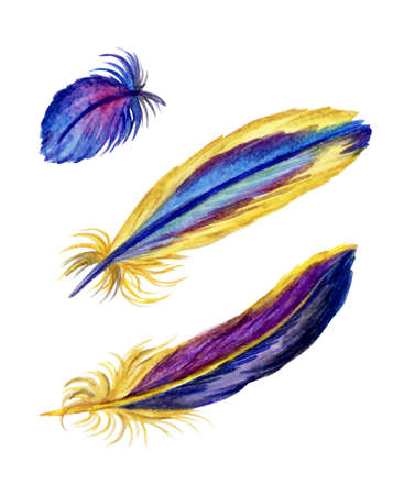 Set of multicolored feathers, watercolor painting on white background isolated   .の写真素材