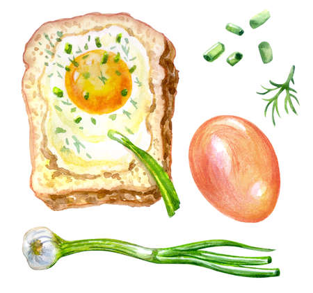Sandwich with fried eggs and onions. Watercolor illustration on a white background with food, print for poster, menu, illustration for a book, etc.の写真素材