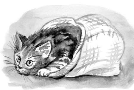Curious kitten sneaks out of the bag, black and white watercolor illustration. Animalistic drawing for poster, cover, greeting card, book illustration, etc.の写真素材