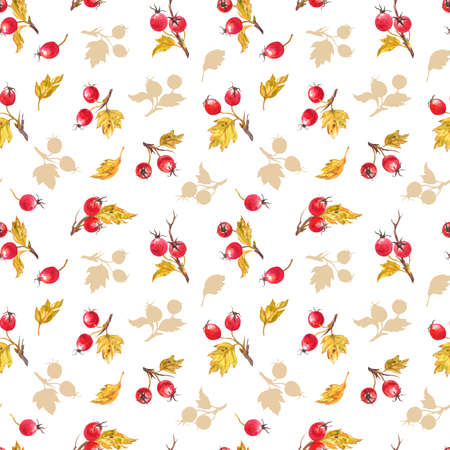 Seamless pattern of hawthorn twigs with berries and leaves on a white background, print for wrapping paper, fabric and other designs.の写真素材