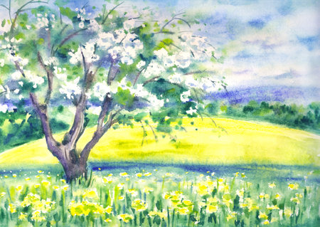 Spring watercolor landscape with blooming apple tree and dandelions, print for aoster, postcard, book or album cover, etc.の写真素材
