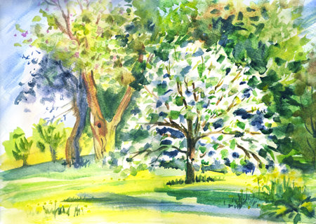 Landscape with a small blossoming apple tree against the backdrop of spring trees.の写真素材