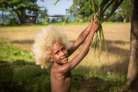 Chea Village, Solomon Islands - June 15, 2015: A boy with blond hair and coloured skin swinging with the leaves of a tree.のeditorial素材