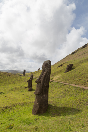 Photograph of the moais at Rano Raraku stone quarry on Easter Island in Chile.の写真素材