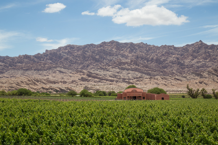 Angastaco, Argentina - November 13, 2015: Photograph of the vineyard Bodega El Cese on the route 40 in Northwest Argentina.のeditorial素材