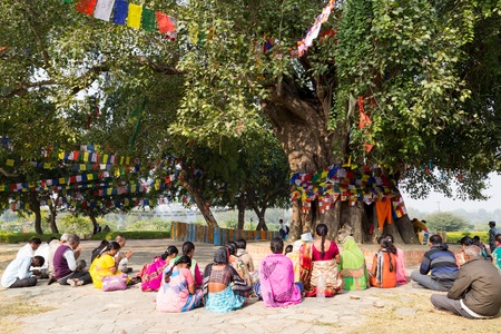 Lumbini, Nepal - November 27, 2014: Pilgrims praying under Bodhi tree at Buddhas birtplace.のeditorial素材