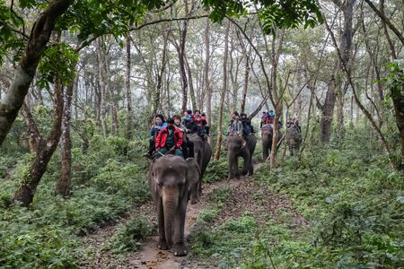Chitwan National Park, Nepal - November 30, 2014: Tourists on an elephant ride.