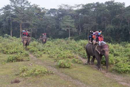 Chitwan National Park, Nepal - November 30, 2014: Tourists on an elephant ride.のeditorial素材