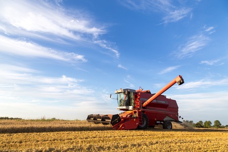 Ramlose, Denmark - August 24, 2016:  A combine harvester at work on a fieldのeditorial素材