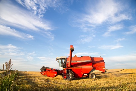 Ramlose, Denmark - August 24, 2016:  A combine harvester at work on a fieldのeditorial素材