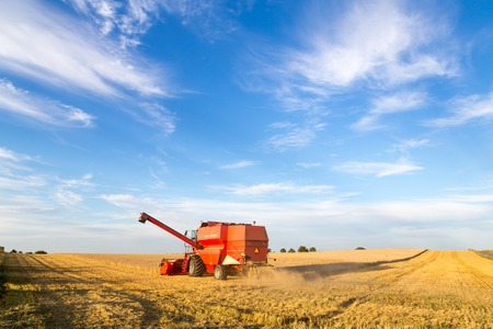 Ramlose, Denmark - August 24, 2016:  A combine harvester at work on a fieldのeditorial素材