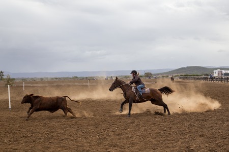 Australian Campdraft Competition
