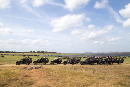 Jeeps in Kaudulla National Park, Sri Lankaのeditorial素材