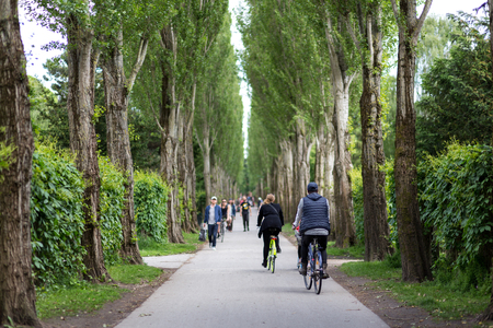 Copenhagen, Denmark - June 10, 2017: People in a tree alley on famous Assistens Cemeteryのeditorial素材