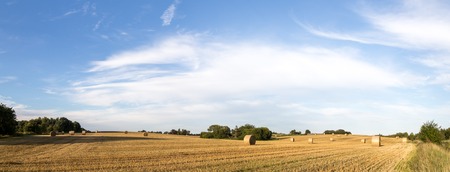 Panoramic view of hay bales on a field on the countryside in Denmarkの写真素材