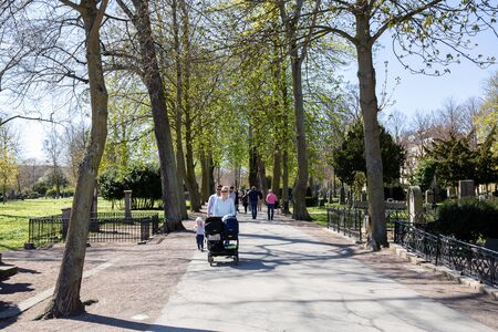 Malmo, Sweden - April 20, 2019: Tree alley and people on the Old Cemetery in the city centre.のeditorial素材