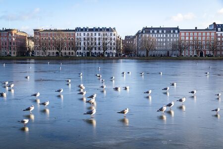Copenhagen, Denmark - January 12, 2017: View over the frozen Peblinge Lake. The Lakes in Copenhagen,...