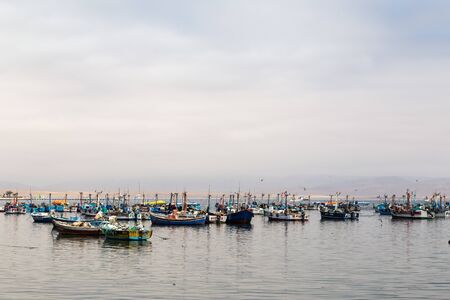 Paracas, Peru - September 12, 2015: Pelicans sitting on a fishing boat anchored in the bayのeditorial素材