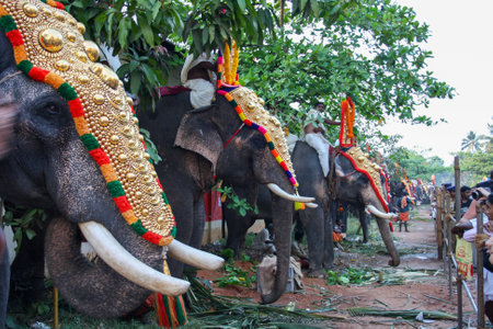 Varkala, India - February 4, 2011: Decorated elephants and people at a traditional elephant paradeのeditorial素材