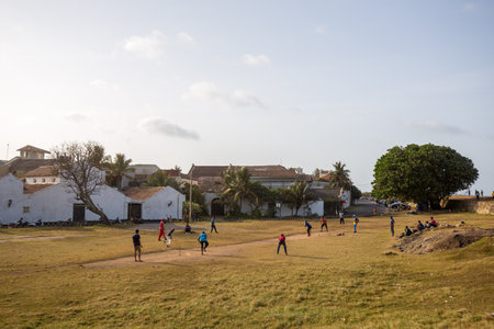 Group of men playing cricket in Galle Fortのeditorial素材