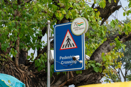 Pedestrian Crossing sign in Old Delhi, India