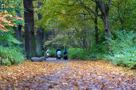 Autumn in Frederiksberg Gardens in Copenhagenのeditorial素材