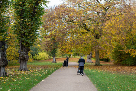 Autumn in Frederiksberg Gardens in Copenhagenのeditorial素材