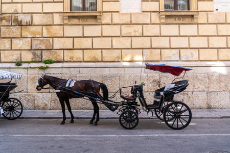 Horse-drawn carriage in Palermo, Sicily