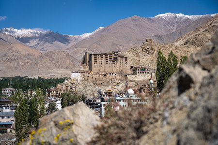 View of Leh City in Ladakh, Indiaの写真素材