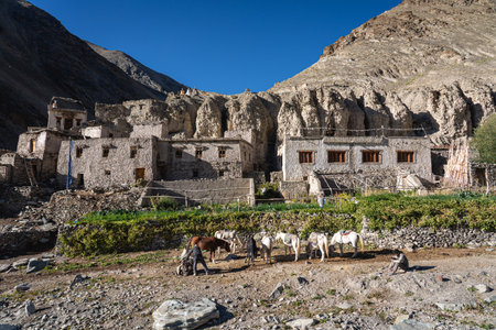 Shingo Village in Hemis National Park, Ladakhのeditorial素材