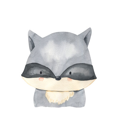 Watercolor raccoon, woodland animal illustration for kidsの写真素材