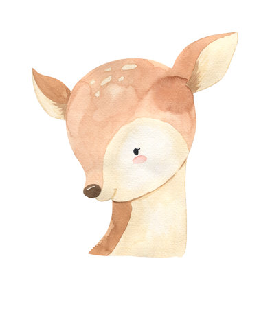 Watercolor deer, woodland animal illustration for kidsの写真素材